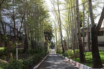 بهار دانشگاه 1399